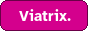 vivivi.leprd.space